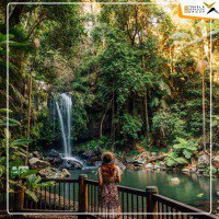 |Tour Hot| Du lịch Úc: Daily tour Gold Coast - Vườn quốc gia Lamington