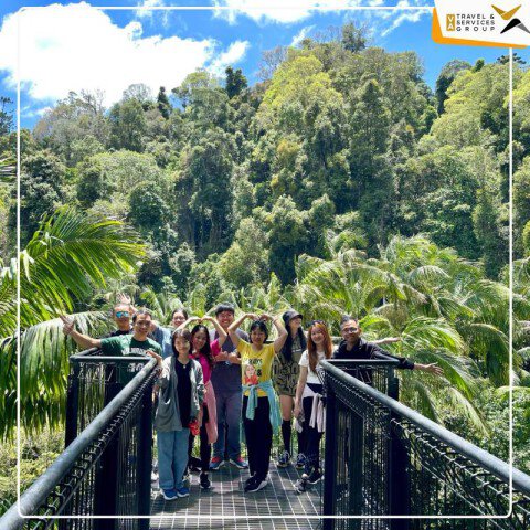 DAILY TOUR  BRISBANE - NÚI TAMBORINE - LÀNG CỔ CHÂU ÂU