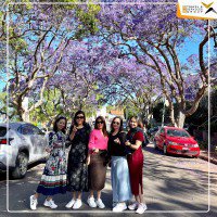 Daily tour Australia: Grafton - New South Wales mùa phượng tím 