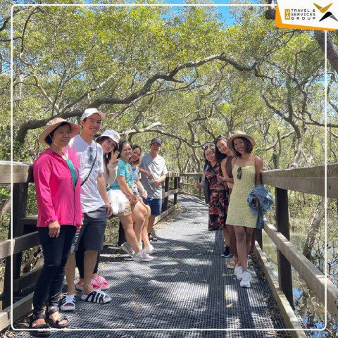  DU LỊCH ÚC: DAILY TOUR  BRISBANE - WYNNUM - MANLY BAY - KING ISLAND