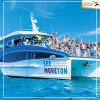 CHƯƠNG TRÌNH DU LỊCH DAILY TOUR  BRISBANE - MORETON ISLAND