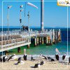 CHƯƠNG TRÌNH DU LỊCH DAILY TOUR  BRISBANE - MORETON ISLAND