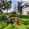 [TOUR HOT] School Tour Úc Khảo sát và du học Sydney - Brisbane - Gold Coast 6 ngày