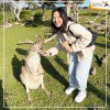 Tour khảo sát đầu tư  Úc - Melbourne - Sydney - Gold Coast - Brisbane 9 ngày