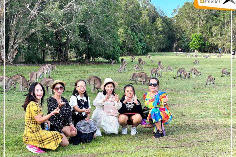 Du lịch Queensland - Hành trình khám phá giao điểm Queensland & New South Wales